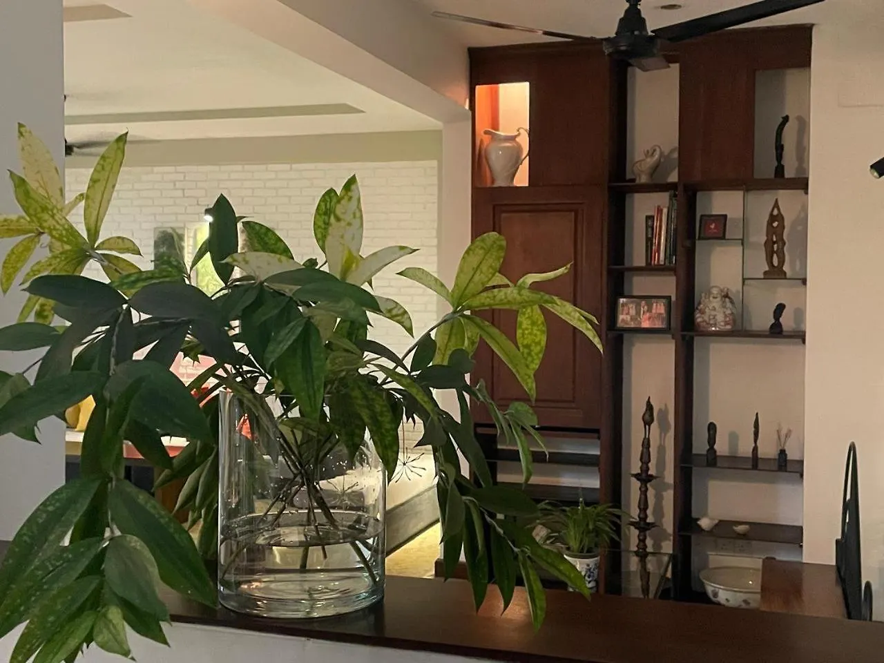 Holiday home Transit Ward Place Colombo Sri Lanka